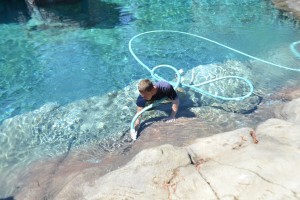 Cleaning Sea Lion Cove