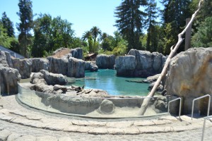 Sea Lion Cove at Zoo